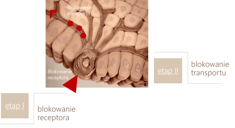 Lumissima_3